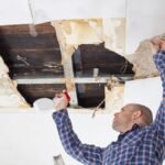 Understanding the Importance of Mold Testing for Your Home