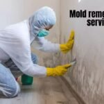 Mold Remediation Service: Protecting Your Home and Health