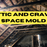 The Hidden Dangers of Attic and Crawl Space Mold