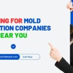 How to Find the Best Mold Remediation Companies Near You: Your Guide to a Safe Home