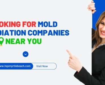 mold remediation companies near you