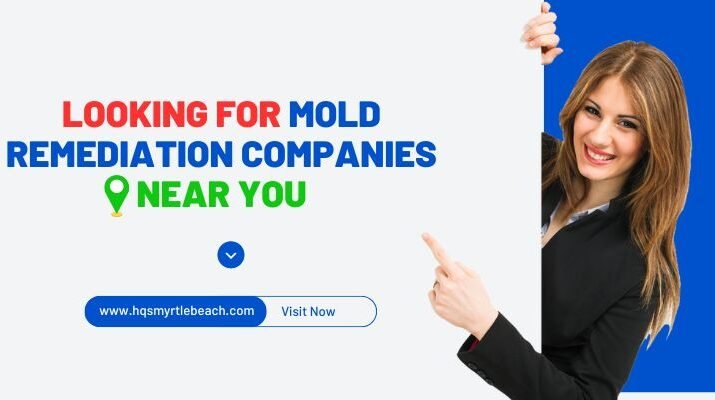 mold remediation companies near you