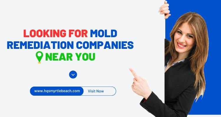 mold remediation companies near you