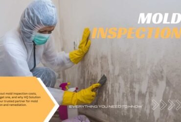 mold inspection