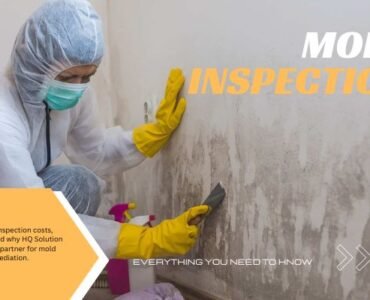 mold inspection