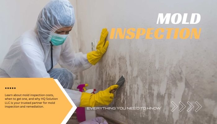 mold inspection