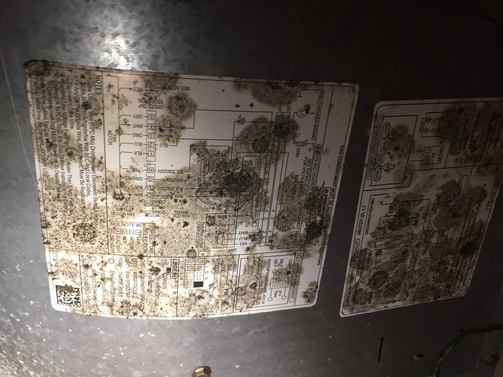 Weekend Mold Removal in Myrtle Beach: Attic, Crawl Space & Black Mold Solutions