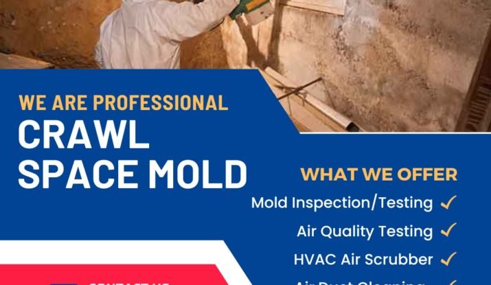 Myrtle Beach Mold Inspection & Remediation – HQ Solution LLC